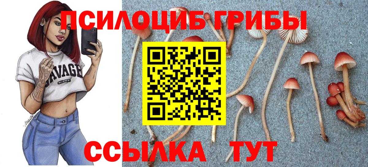 Нефтеюганск  Галлюциногенные грибы Cubensis  Вход с VPN 